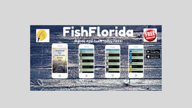 Fish Florida Mobile App Great look at the Fish Florida Mobile App! 